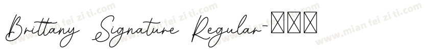 Brittany Signature Regular字体转换